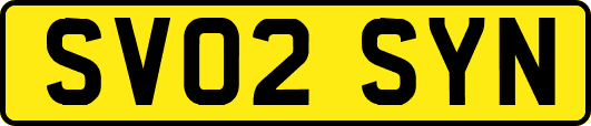 SV02SYN
