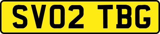 SV02TBG