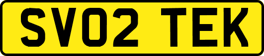 SV02TEK