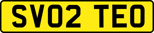 SV02TEO