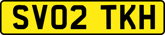 SV02TKH