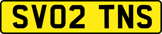 SV02TNS