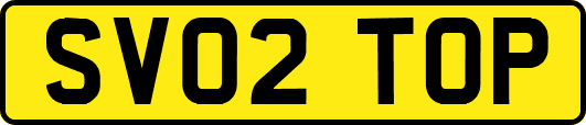 SV02TOP