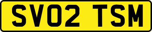 SV02TSM