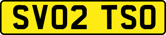 SV02TSO