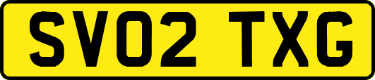 SV02TXG