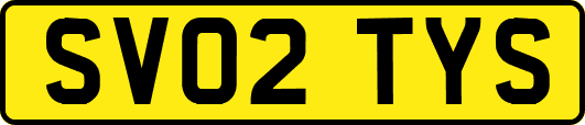 SV02TYS