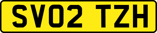SV02TZH