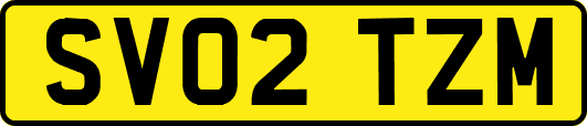 SV02TZM
