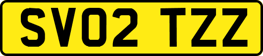 SV02TZZ