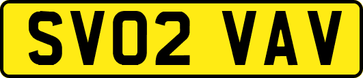 SV02VAV
