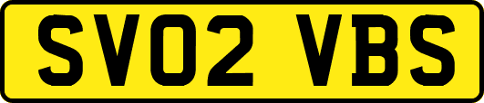 SV02VBS