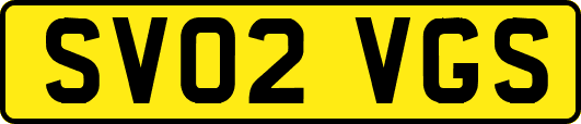 SV02VGS