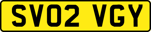SV02VGY