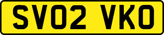 SV02VKO