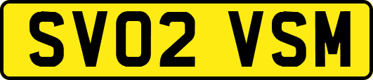 SV02VSM