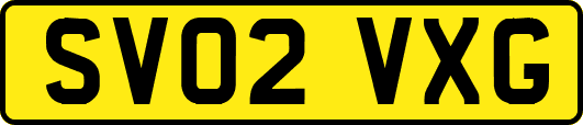 SV02VXG
