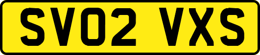 SV02VXS