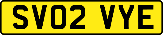SV02VYE