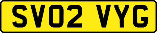 SV02VYG