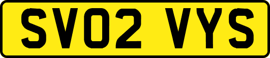 SV02VYS