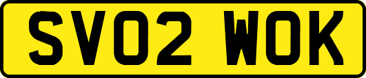 SV02WOK