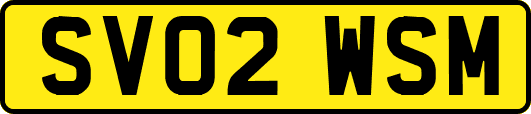 SV02WSM