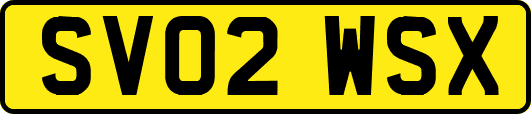 SV02WSX