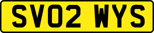 SV02WYS