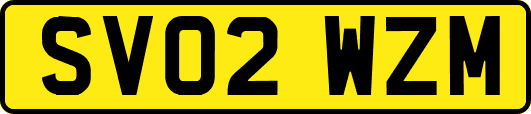 SV02WZM