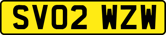 SV02WZW