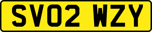 SV02WZY