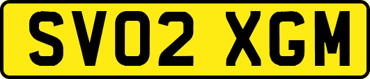 SV02XGM