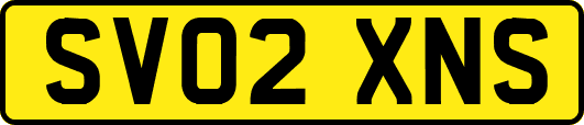 SV02XNS