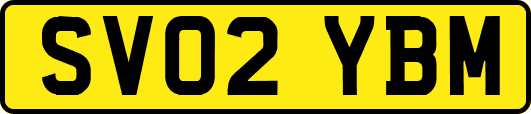 SV02YBM