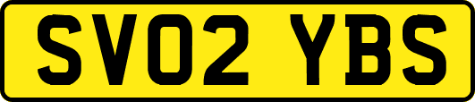 SV02YBS