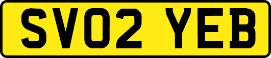 SV02YEB