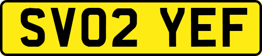SV02YEF