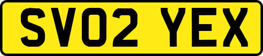 SV02YEX