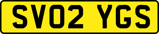 SV02YGS