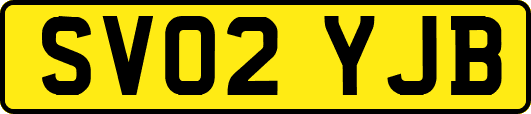 SV02YJB