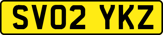 SV02YKZ