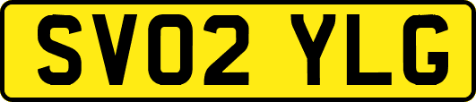 SV02YLG
