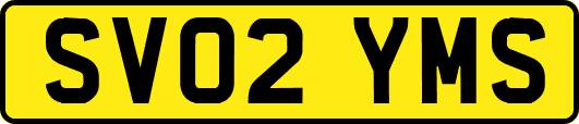 SV02YMS