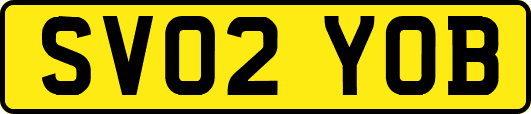 SV02YOB