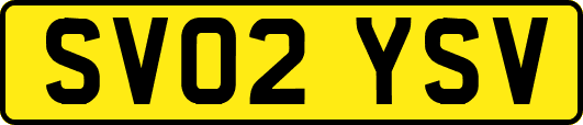 SV02YSV