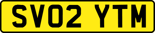 SV02YTM