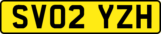 SV02YZH