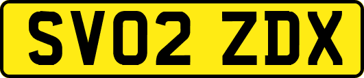 SV02ZDX