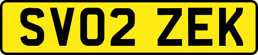 SV02ZEK
